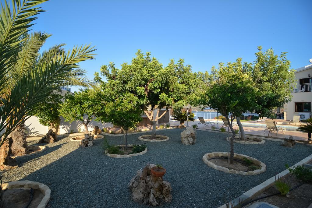 פומוס Kalli Villa מראה חיצוני תמונה